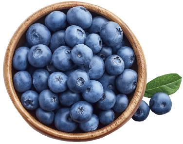 Borówka amerykańska, opak. 300 g
