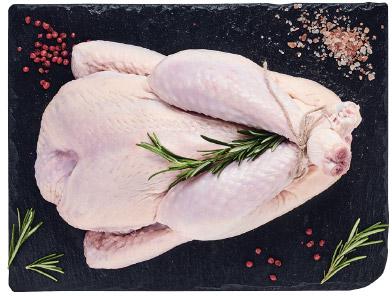 Kurczak BIO Kraina Mięs