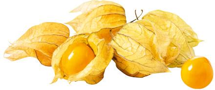 Physalis, opak. 100 g