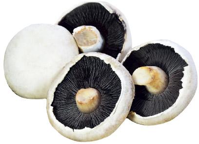Pieczarki do grillowania, opak. 400 g
