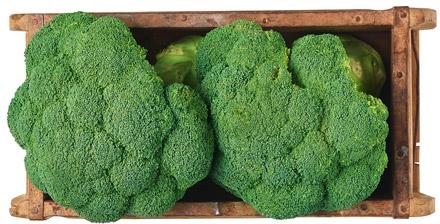 Brokuł, opak. 500 g