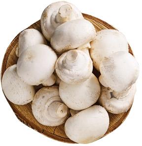 Pieczarka, opak. 500 g