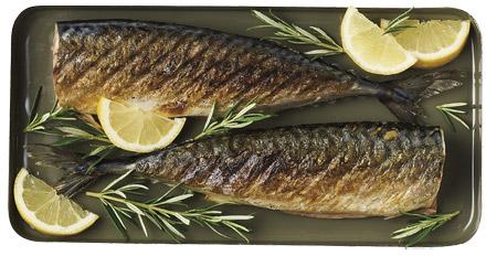 Tusza makreli Marinero