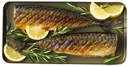Tusza makreli Marinero