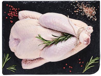Kurczak BIO Kraina Mięs
