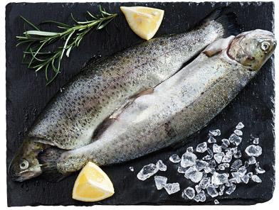 Świeży pstrąg tęczowy patroszony, Marinero