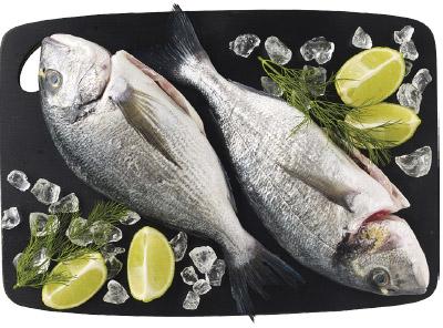 Świeża dorada patroszona Marinero