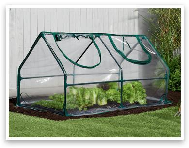 Gardenic Miniszklarnia