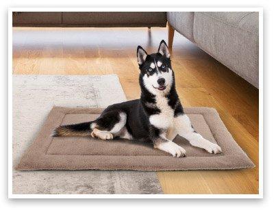 Activ Pet Legowisko dla pupila