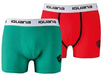 Iguana Bokserki męskie, 2-pak