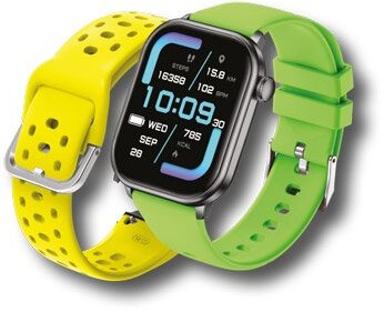 Smartwatch AI