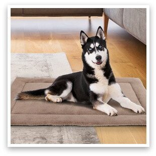 ACTIVPET Legowisko