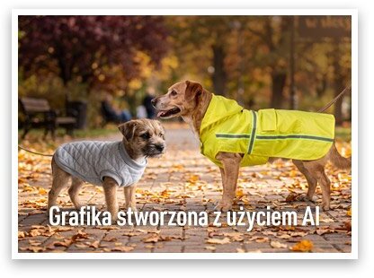 ACTIVPET Ubranko dla pupila